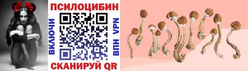 Галлюциногенные грибы Psilocybe  Иланский 